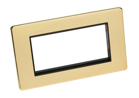 2 Gang Polished Brass Decorative (Screw less) Plate - 3888506